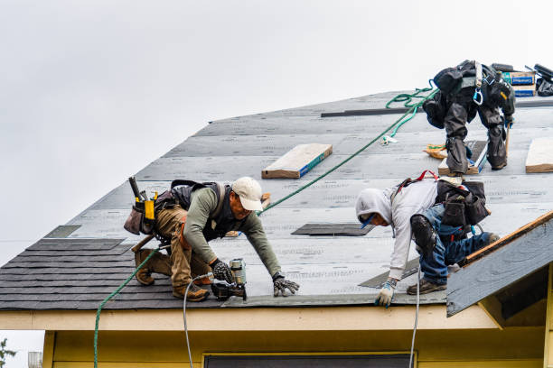 Professional Gutter Installation technician working in Newnan, GA